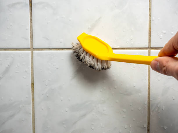 Best Mold Testing  in Glenwood Landing, NY