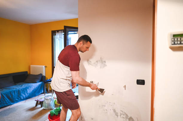 Best Toxic Mold Removal  in Glenwood Landing, NY